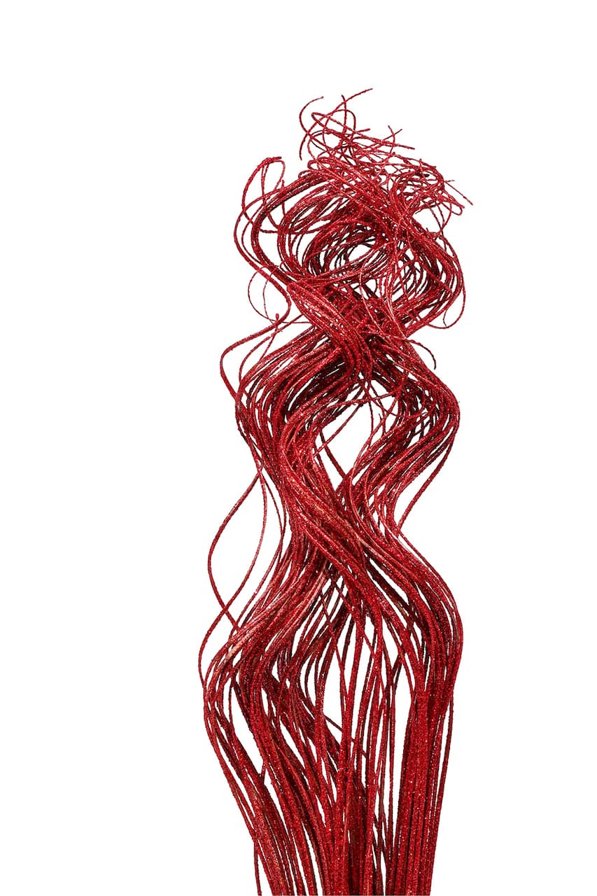 TF Publishing Natural Curly Ting Branch Stems, 35ct.